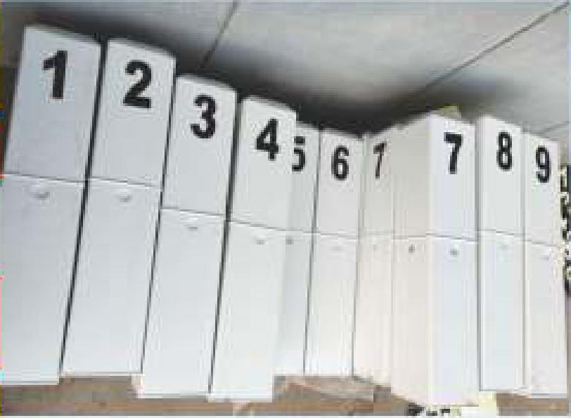 �����ְ���׮